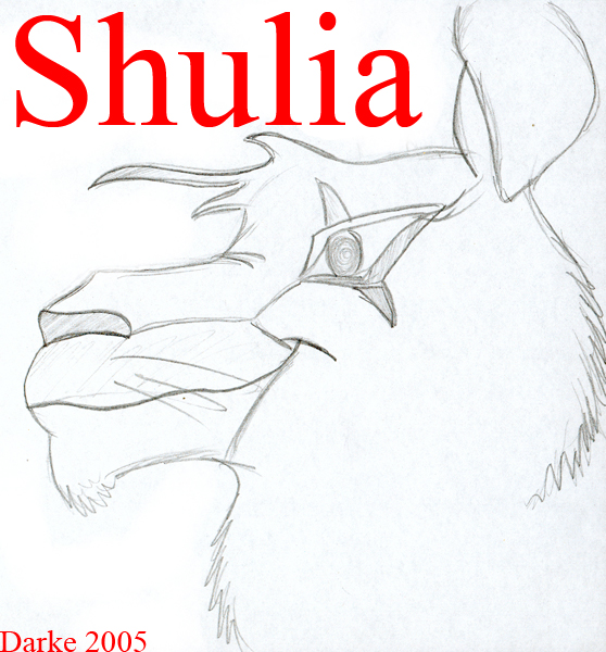Shulia 2.jpg