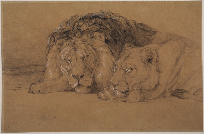 johnfredericklewis_lionandlionessasleep_1823.jpg