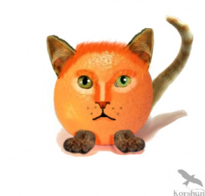 Апельсиновый кот.jpg