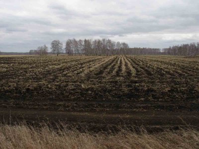 Pole.jpg (80.38 КБ) 60762 просмотра Pole.jpg