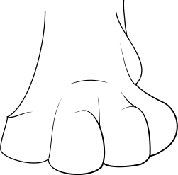 Paw.png