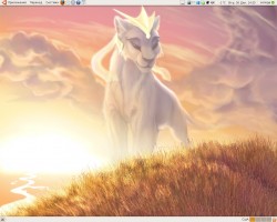 Ubuntu desktop.jpg
