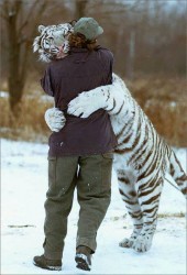 tigerhug.jpg