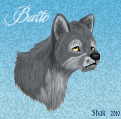 Balto копия1.jpg