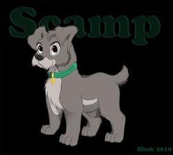 scamp1.jpg