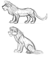 adult_simba_body_practice.jpg