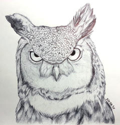 owl_by_betelgeuse_neva-d84gtn4.png