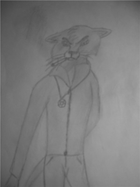 Кот - фуррь