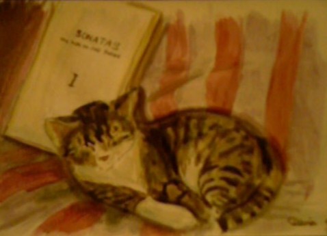 cat