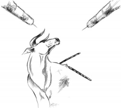 Коррида