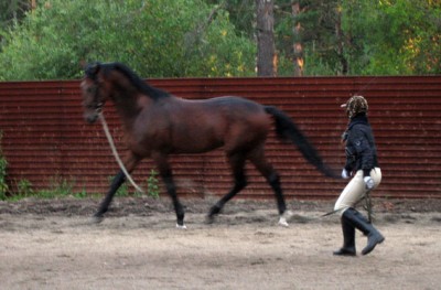 Aztec_GoHamster!.JPG (83.58 КБ) 13517 просмотров Идеальный сбор =)<br />Типа, я конь порядочный, шамборьером по попе не надо =)