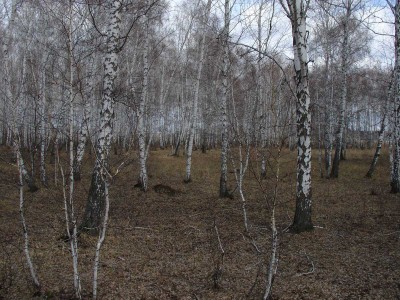 Ber.jpg (274.74 КБ) 62516 просмотров Ber.jpg