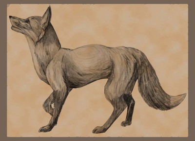 Fox.jpg (64.36 КБ) 15671 просмотр Fox.jpg