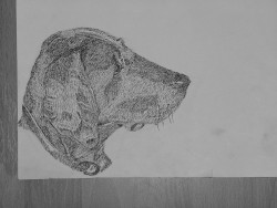 рисунок тушью