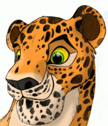 Леопардик.gif