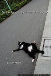 x_ec21f019.jpg (62.94 КБ) 23223 просмотра x_ec21f019.jpg