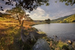 0053ck6f.jpg (146.53 КБ) 23225 просмотров Одна из работ Стива Хайфилда