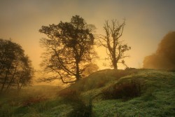 0052hq85.jpg (247.6 КБ) 23225 просмотров Ещё одна работа Стива Хайфилда