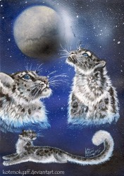kote_snow_galaxy_sm.jpg