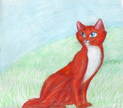 Кошка...