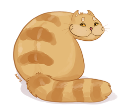 Кот-бокач, памяти моего кота