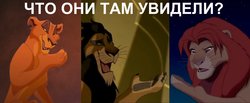 лапы.jpg (190.75 КБ) 20658 просмотров лапы.jpg